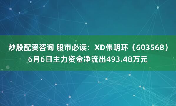 炒股配资咨询 股市必读：XD伟明环（603568）6月6日主力资金净流出493.48万元